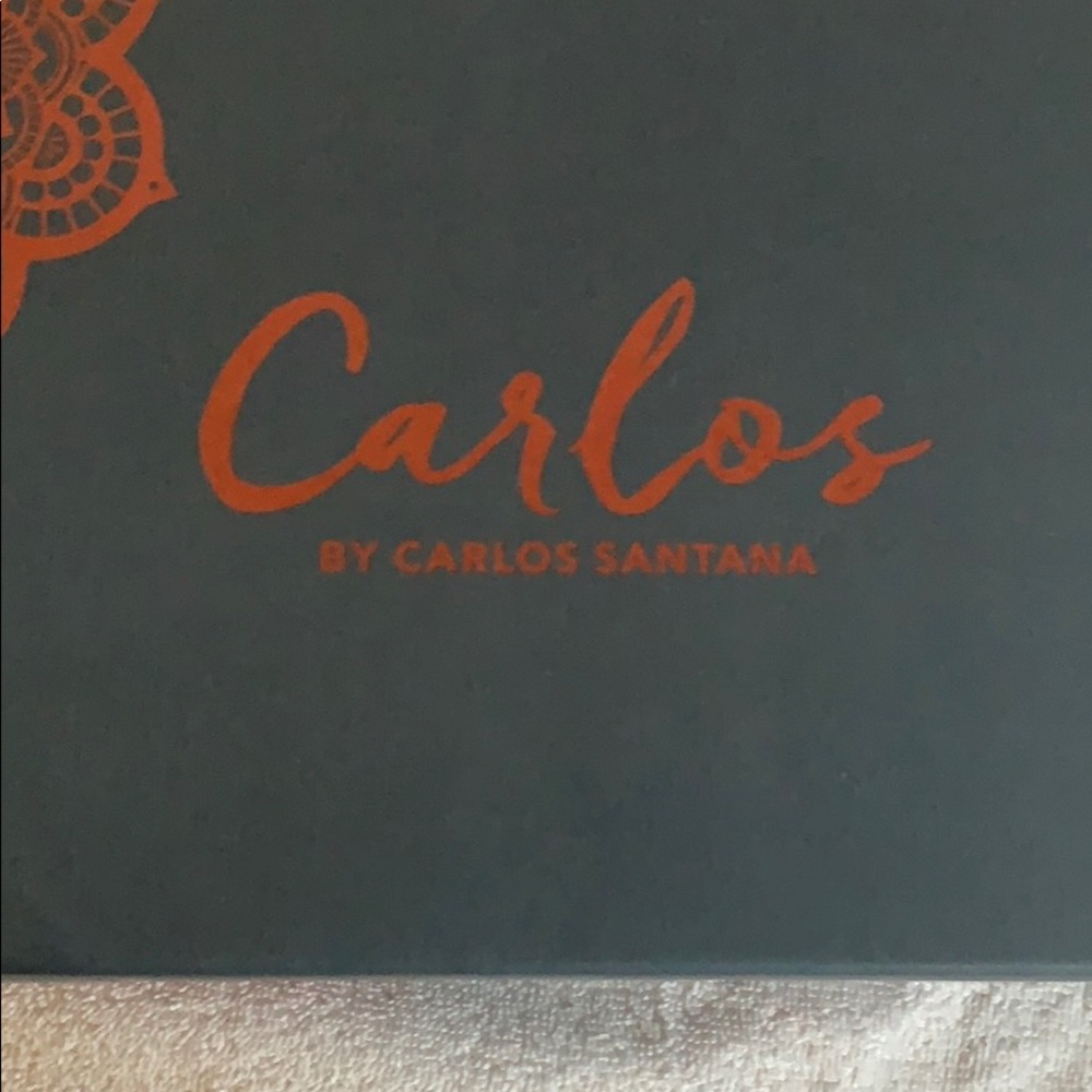 Never worn Carlos Santana black loafers.